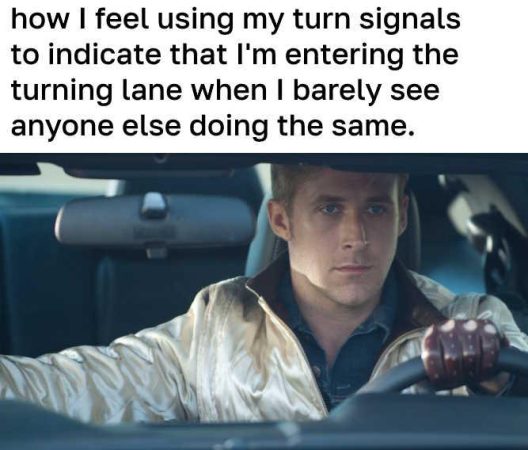 Yea, I'm kind of a professional driver.